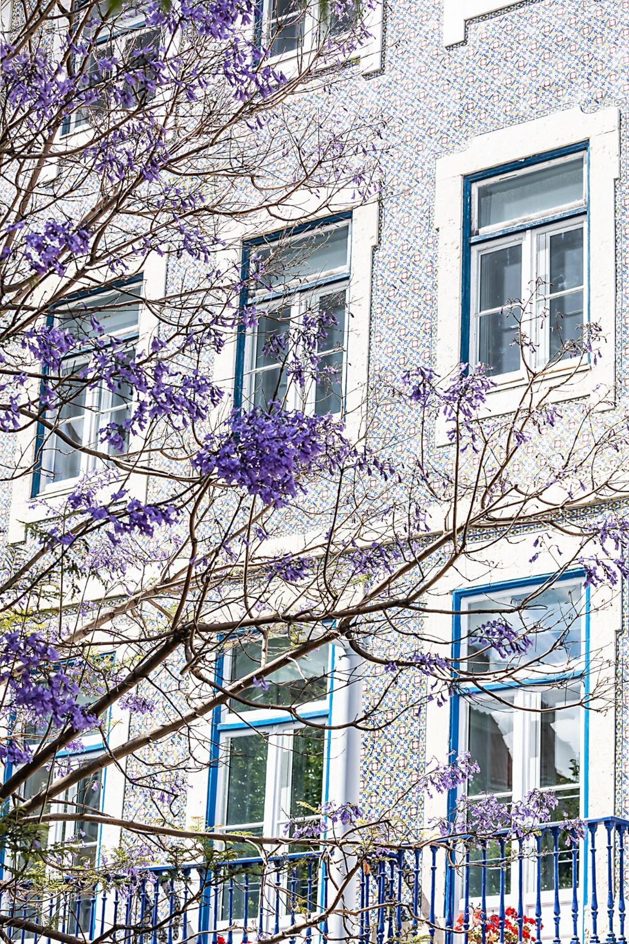 Emporium Lisbon Suites Exterior photo